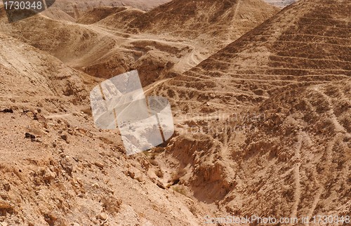 Image of Textured orange dunes in the desert 