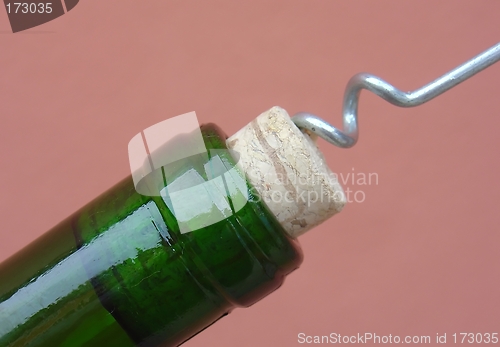 Image of corkscrew and the wine bottle