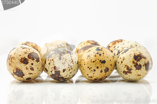 Image of Quail eggs