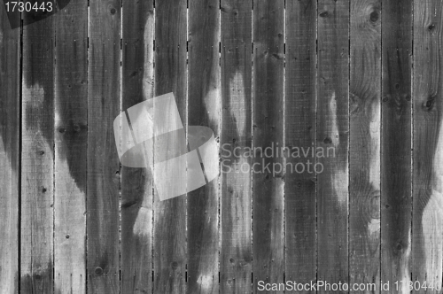 Image of Wood wet wall