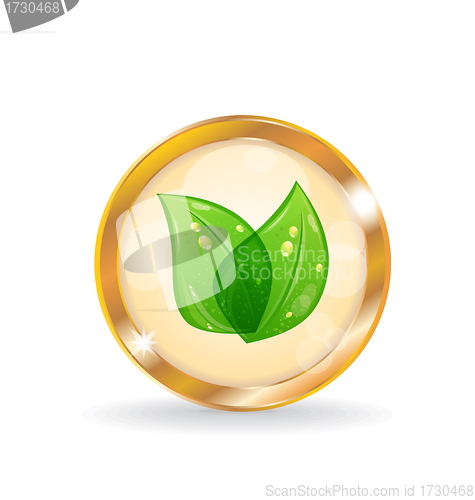 Image of Golden circle label with eco leaves