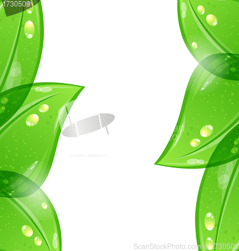 Image of Abstract eco green background