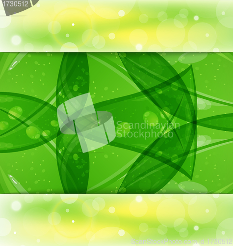 Image of Abstract summer background with leaf texture