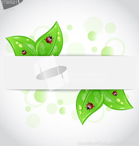 Image of Eco green leaves with ladybugs sticking out of the cut paper