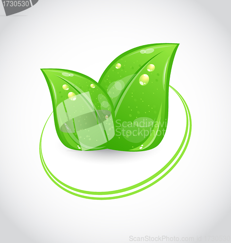 Image of Eco green design symbol with leaves