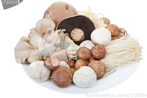 Image of Mixed mushrooms