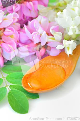 Image of honey in a wooden spoon with acacia flowers