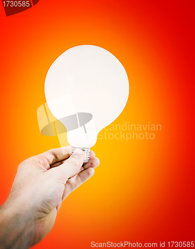 Image of White bulb