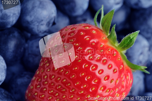 Image of Strawberries and blueberries