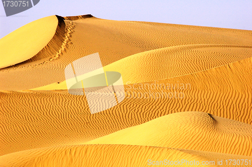 Image of Landscape of golden desert