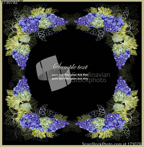 Image of Illustration grapevine. Vintage background with grape branch . Rich wine background.