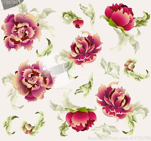 Image of Seamless background. Illustration peony.