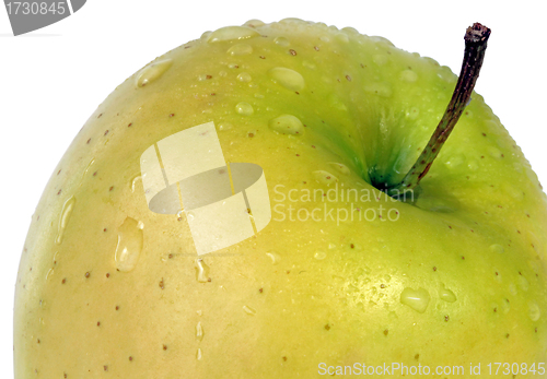 Image of Green Apple