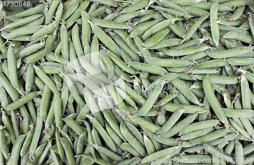 Image of Pea Pods