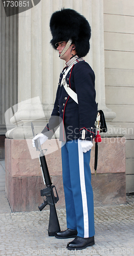 Image of Royal Danish Guardsman