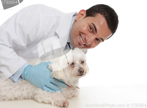 Image of Friendly caring vet with a sick animal