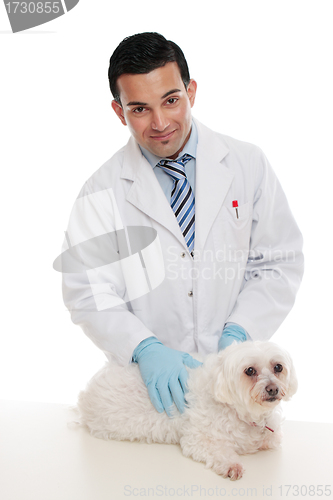 Image of Friendly vet holding pet animal