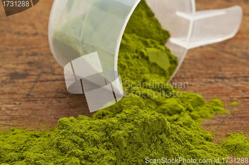 Image of wheatgrass powder supplement