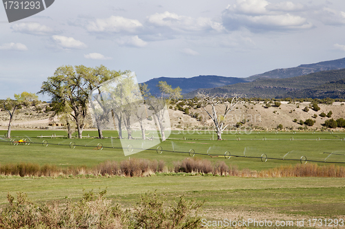 Image of irrigated meadow in mountain valley