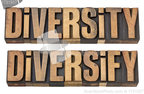 Image of diversity and diversify words in wood type