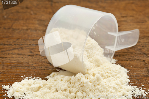 Image of whey protein powder supplement