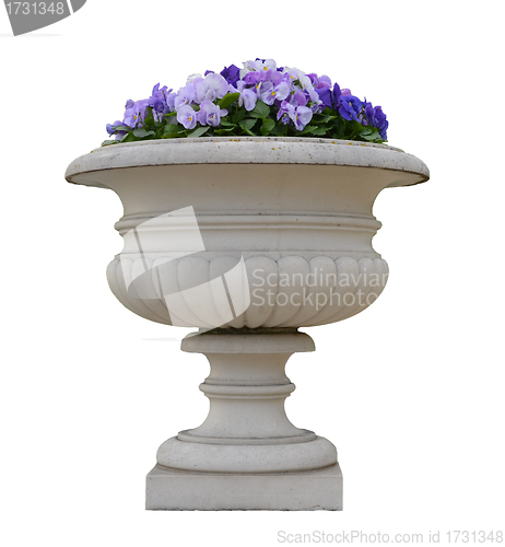 Image of Masonry pot with viola pansy flowers isolated 