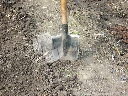 Image of shovel