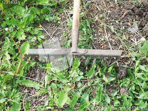 Image of rake