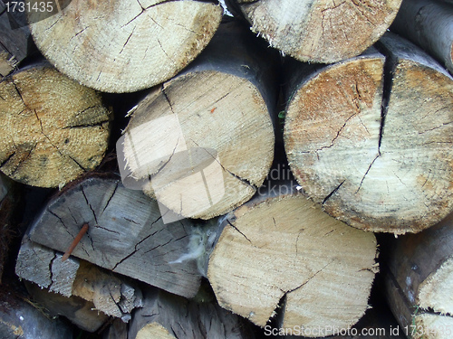 Image of wood logs