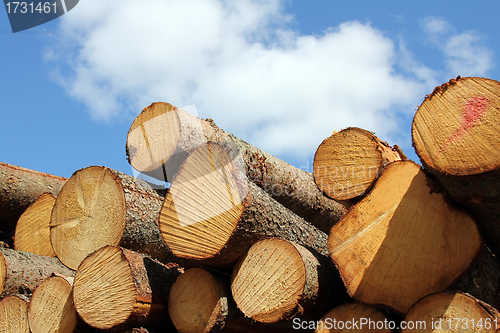 Image of Wooden logs and fair weather sky