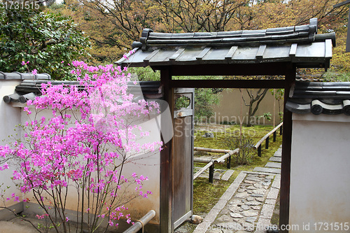 Image of Kyoto