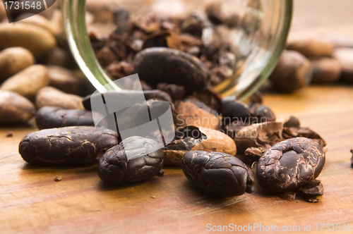 Image of Cocoa (cacao) beans on natural wooden table