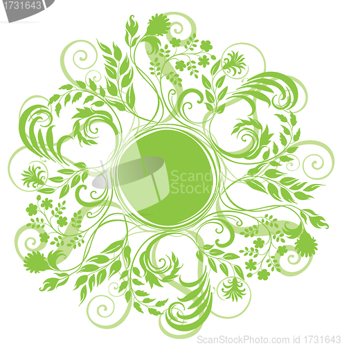 Image of Curly round grass