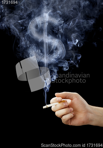 Image of The Cost of Smoking