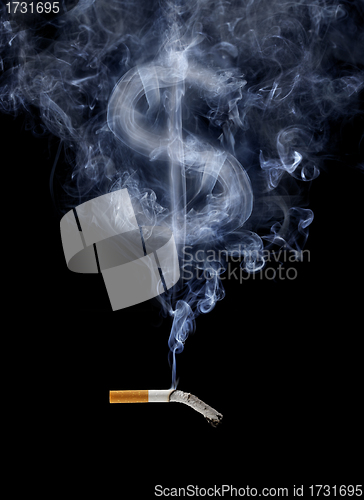Image of The Cost of Smoking