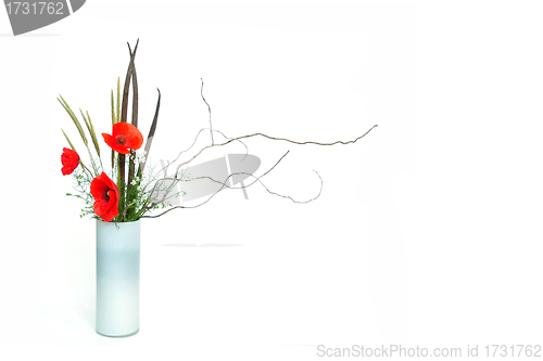 Image of poppy ikebana
