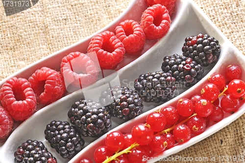 Image of fresh wild berries
