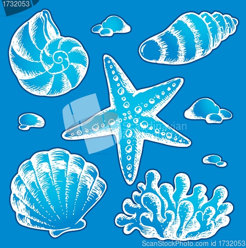 Image of Sea shells drawings 2