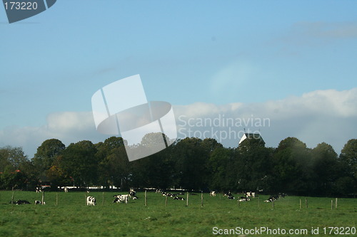 Image of Landscape in Sweden