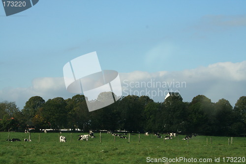 Image of Landscape in Sweden