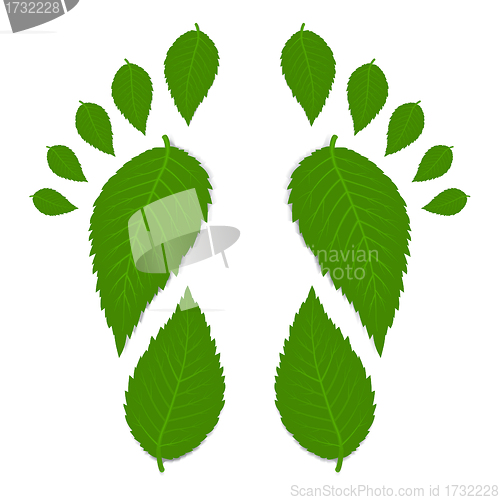 Image of Green footprint