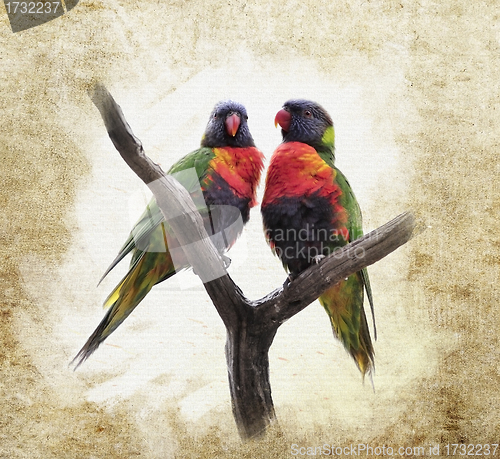 Image of Grunge  Background With Parrots