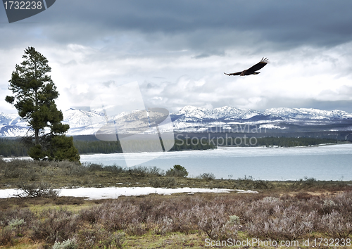 Image of High Mountain Landscape