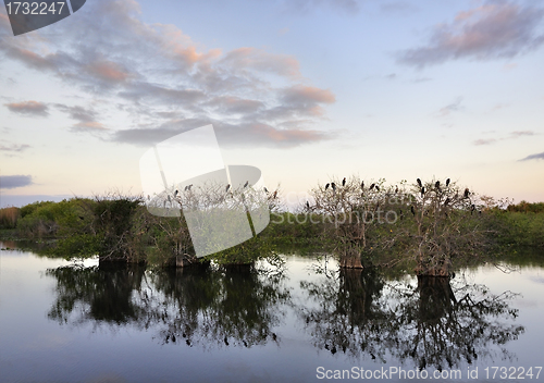 Image of Sunset On The River