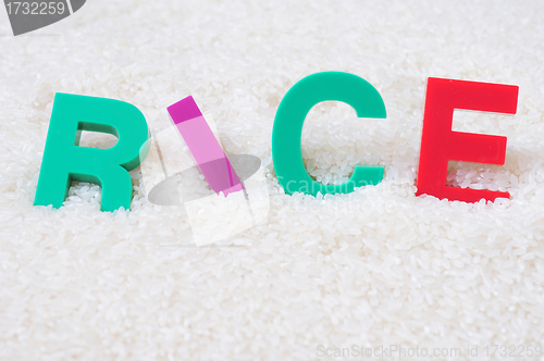 Image of Rice concept