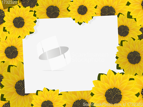 Image of Sunflower frame
