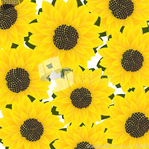 Image of Sunflower card