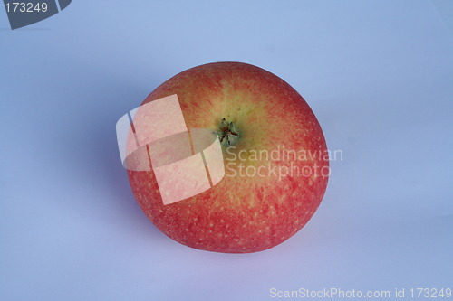 Image of Swedish apple