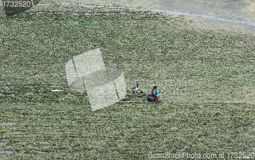 Image of wet field and farmers