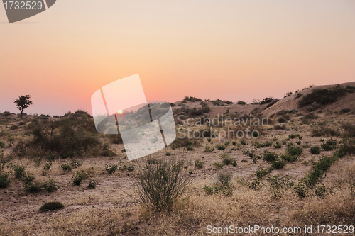 Image of Thar Desert